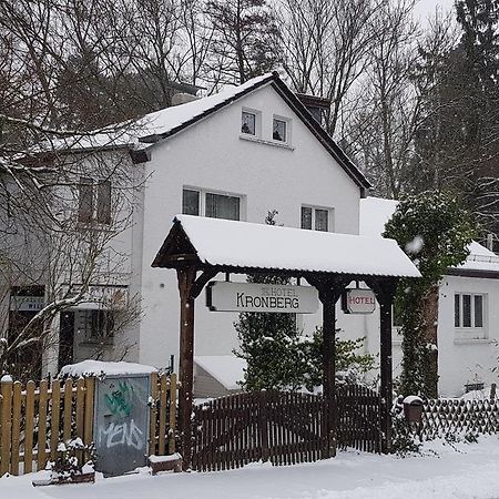 Hotel Kronberg Кронберґ-ім-Таунус Екстер'єр фото